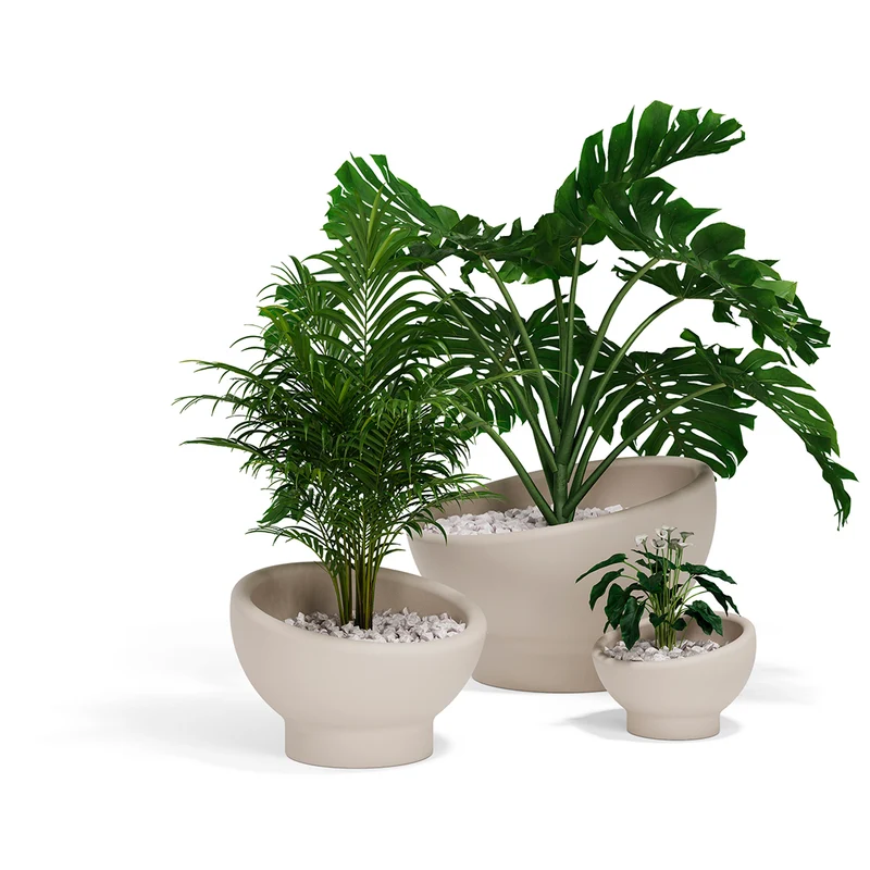 Pot - Luna