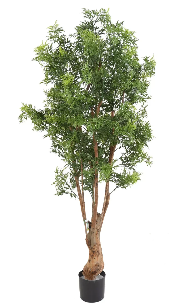 Aralia Artificiel - 170 cm