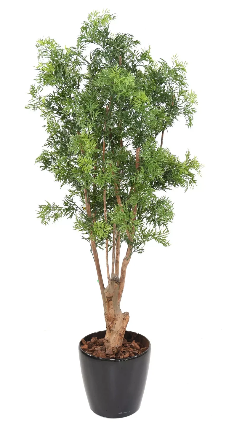Aralia Artificiel - 170 cm