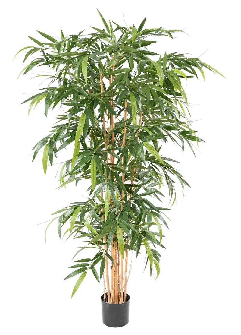Bambou Artificiel - 210 cm