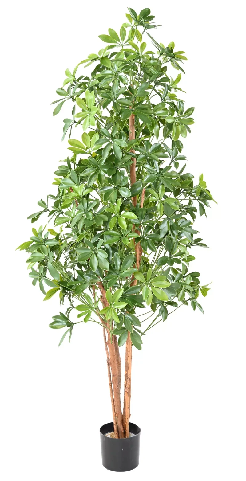Choisya Artificiel - 180 cm