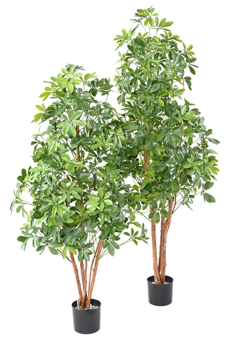 Choisya Artificiel - 180 cm