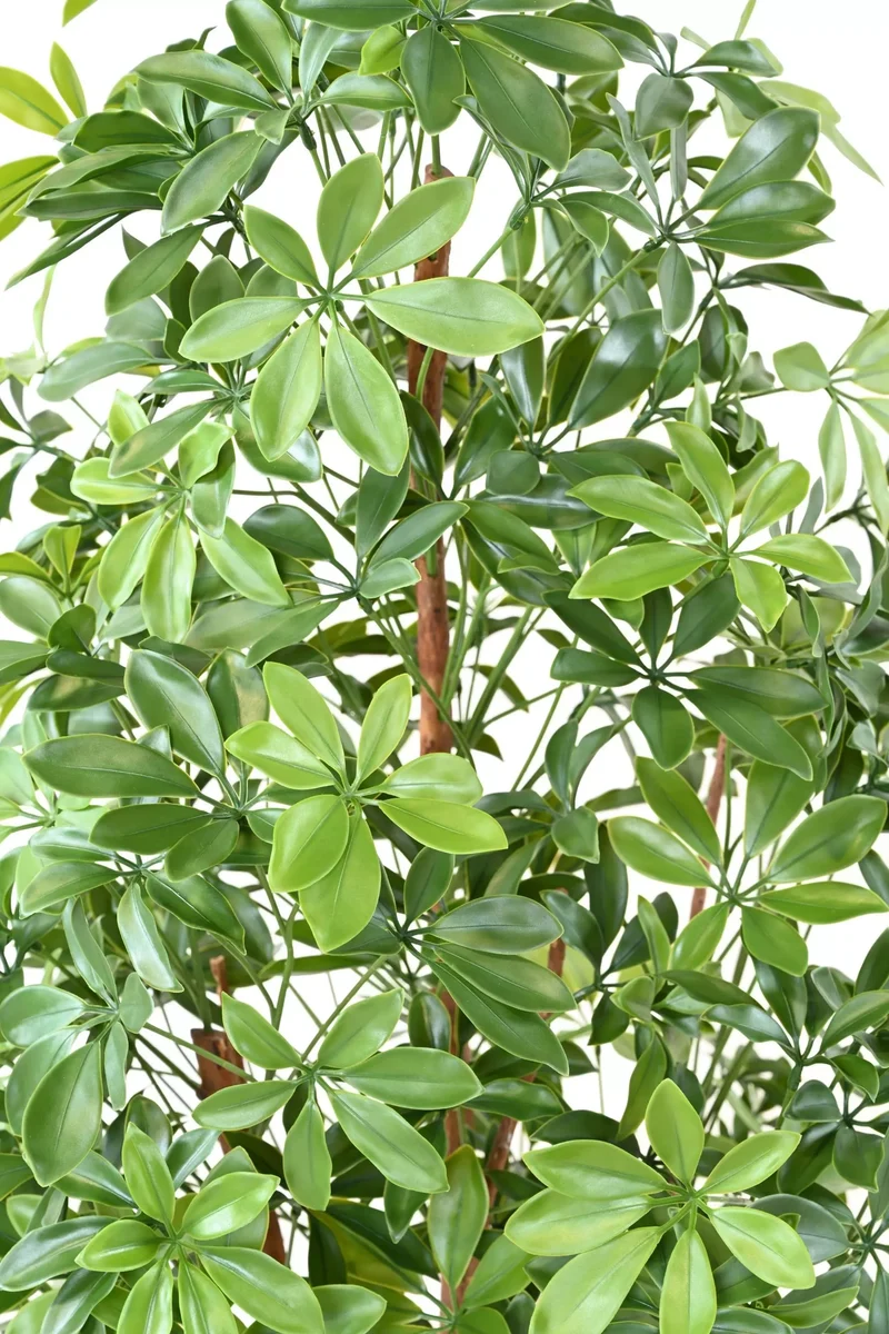 Choisya Artificiel - 180 cm
