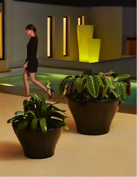 Jardinière - Centro Alto