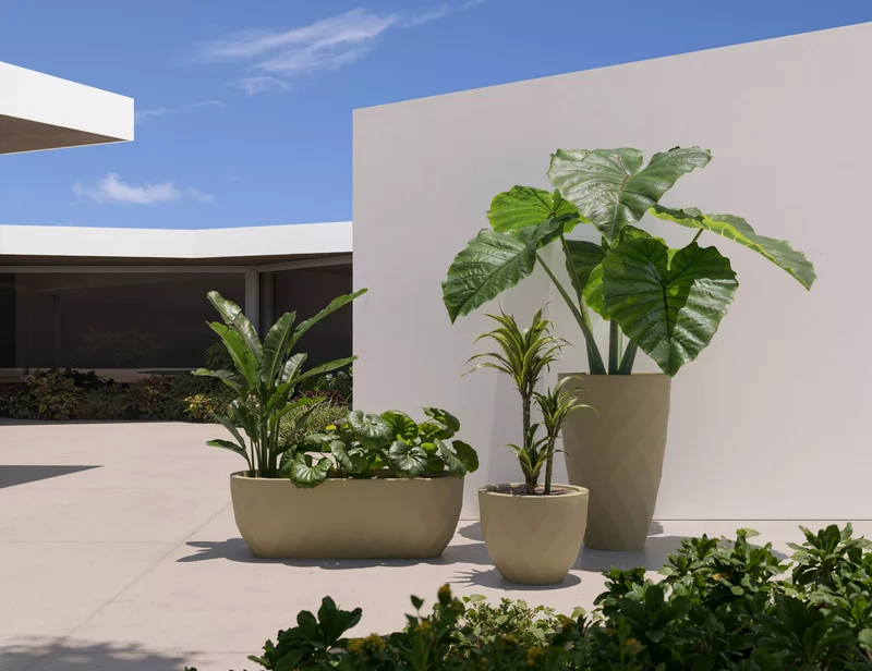 Jardinière - Vaso