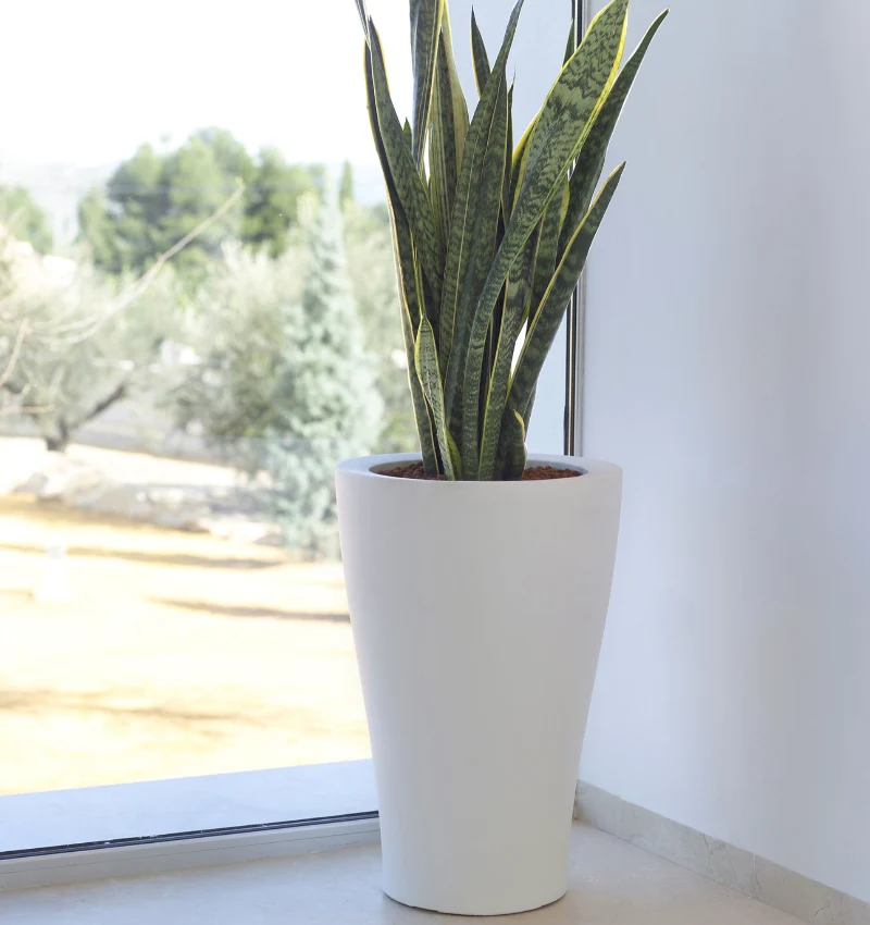 Pot - Curvado LED