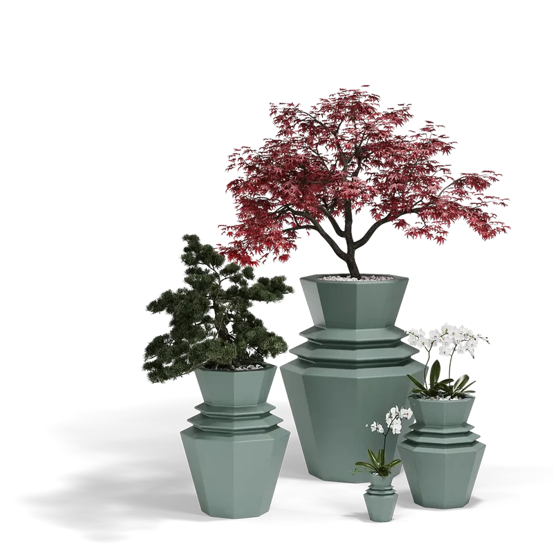 Pot - Hinoki