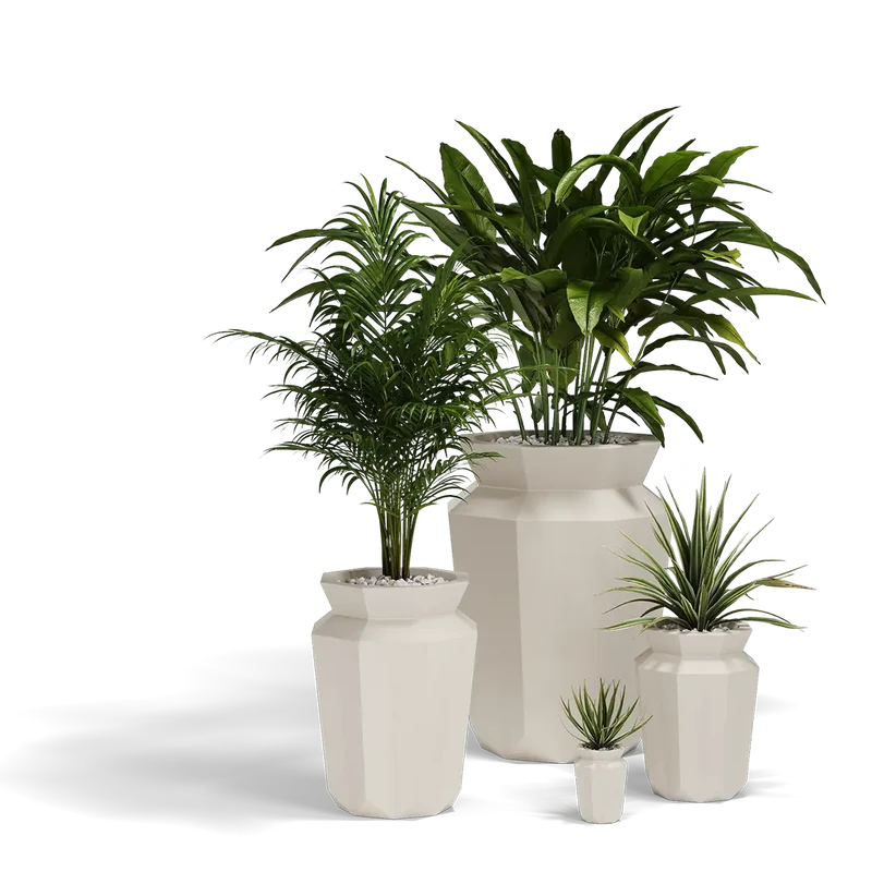 Pot - Hasu