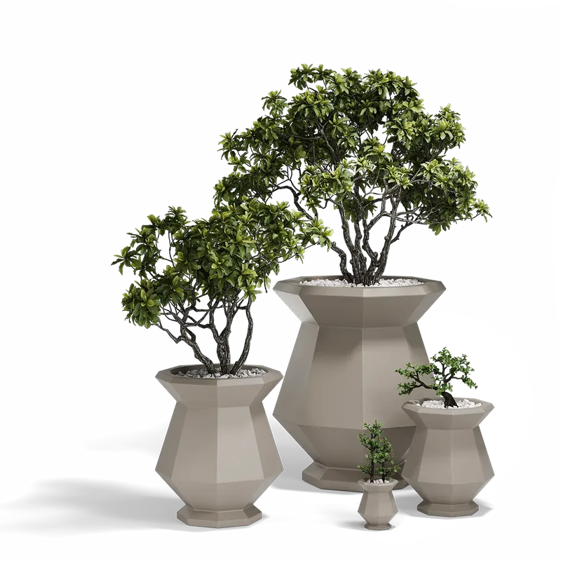 Pot - Kashi