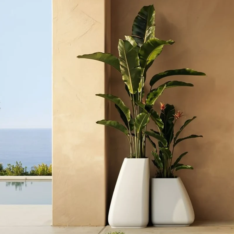 Pot - Noma II