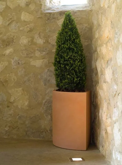 Pot - Angular
