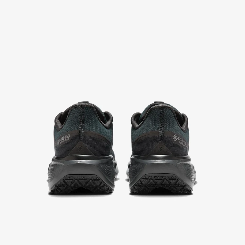 Nike Pegasus 41 GORE-TEX