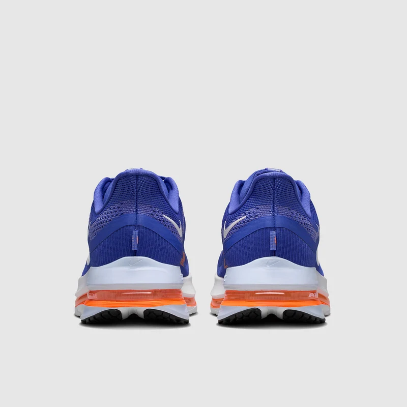 Nike Pegasus Premium