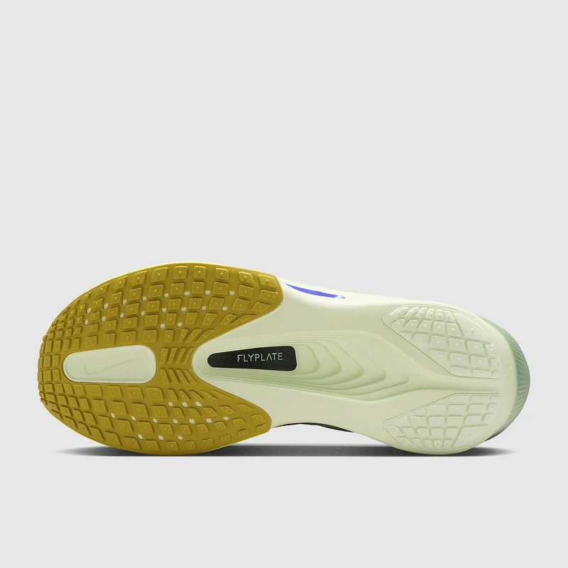Nike Zoom Fly 6
