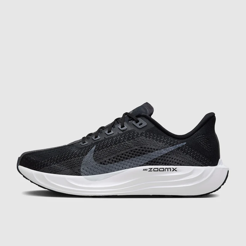 Nike Pegasus Plus