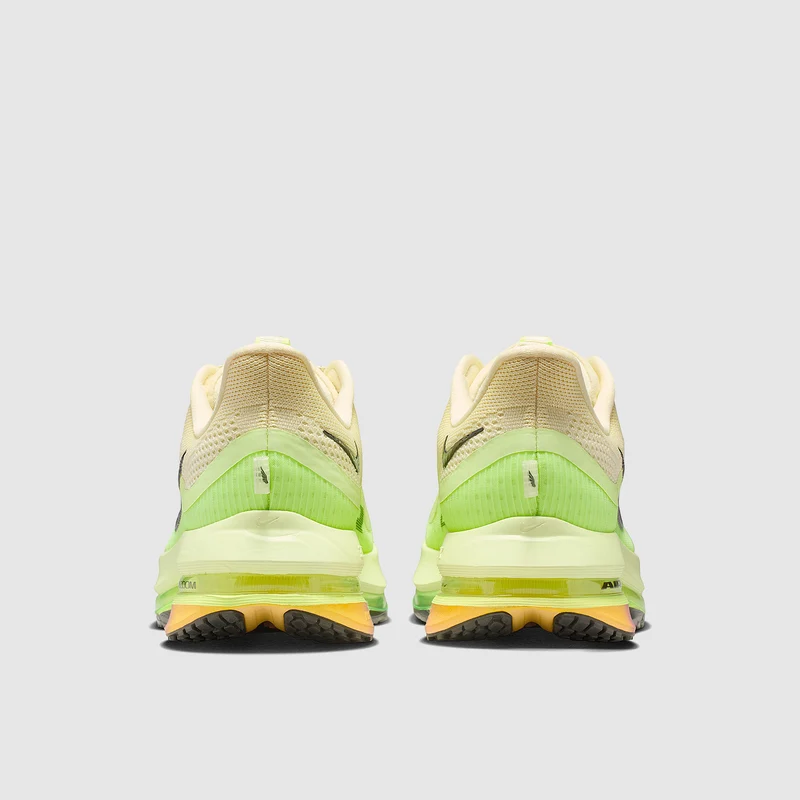 Nike Pegasus Premium