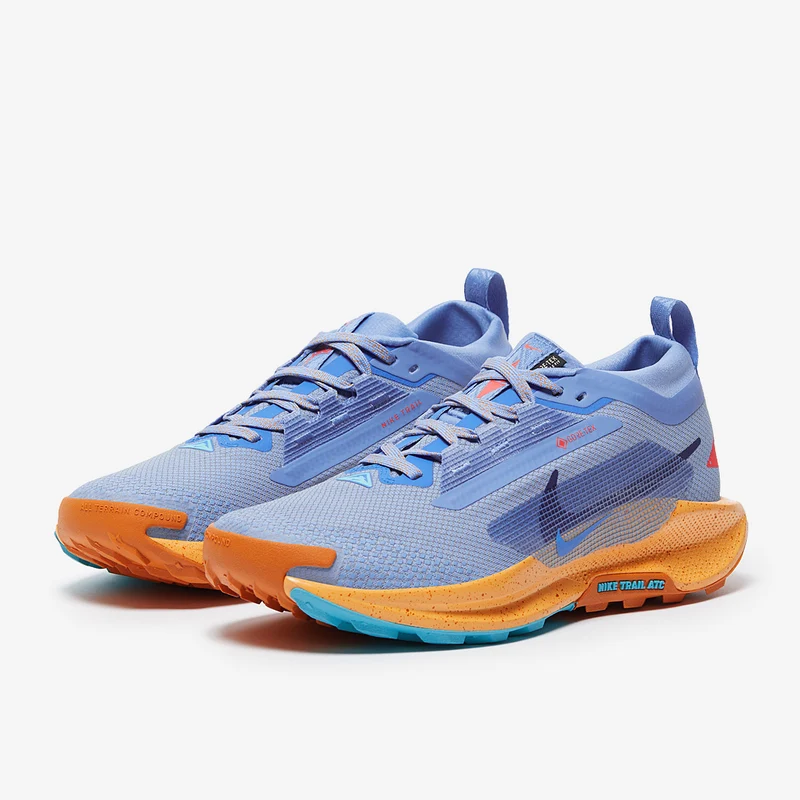 Nike Pegasus Trail 5 GORE-TEX pour Femme