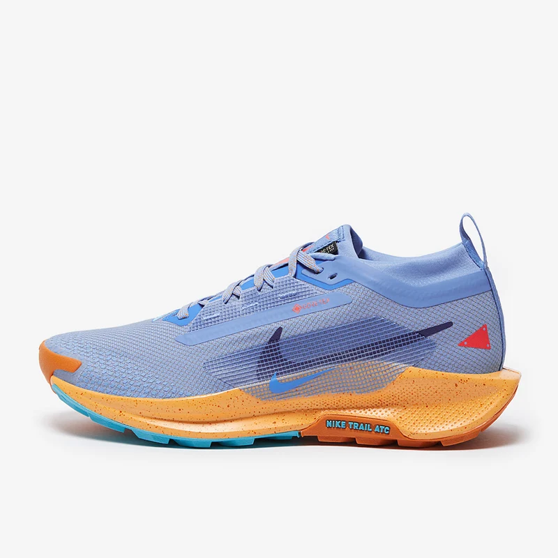 Nike Pegasus Trail 5 GORE-TEX pour Femme