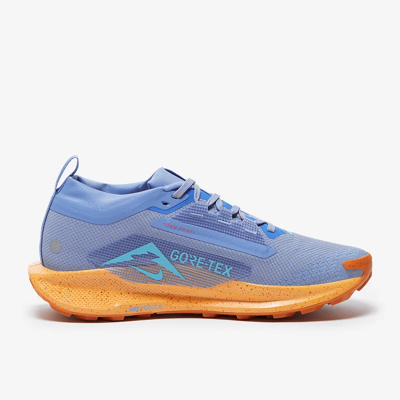 Nike Pegasus Trail 5 GORE-TEX pour Femme