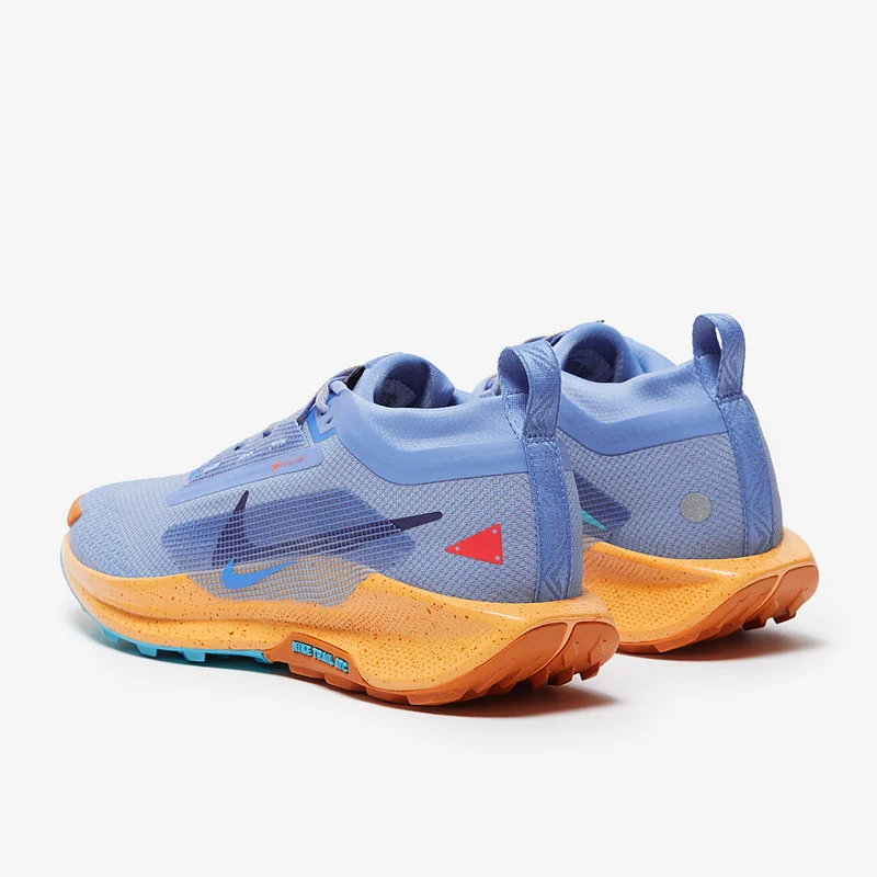 Nike Pegasus Trail 5 GORE-TEX pour Femme