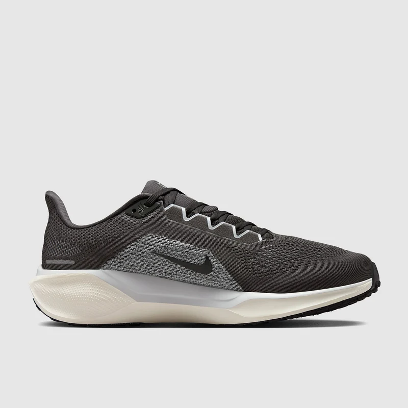 Nike Pegasus 41