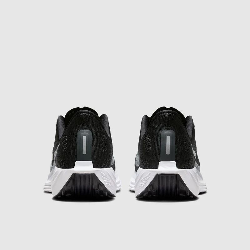 Nike Pegasus Plus pour Femme