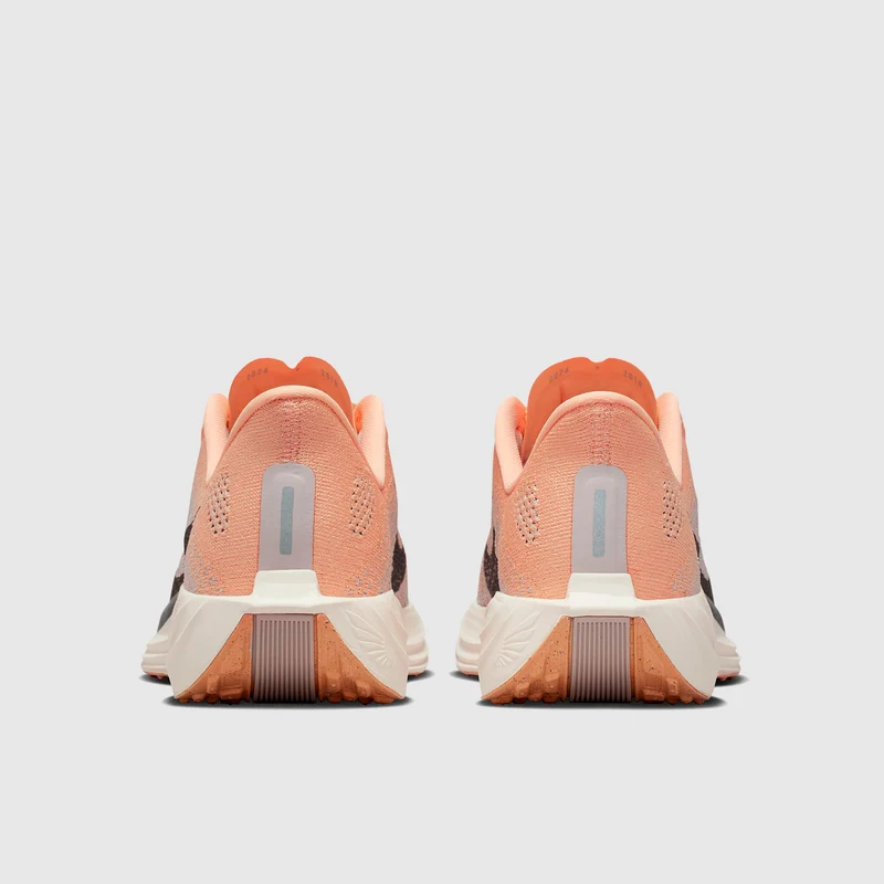 Nike Pegasus Plus pour Femme