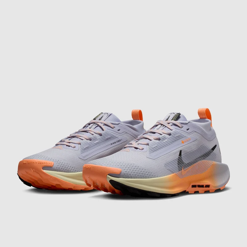 Nike Pegasus Trail 5 GORE-TEX Waterproof pour Femme