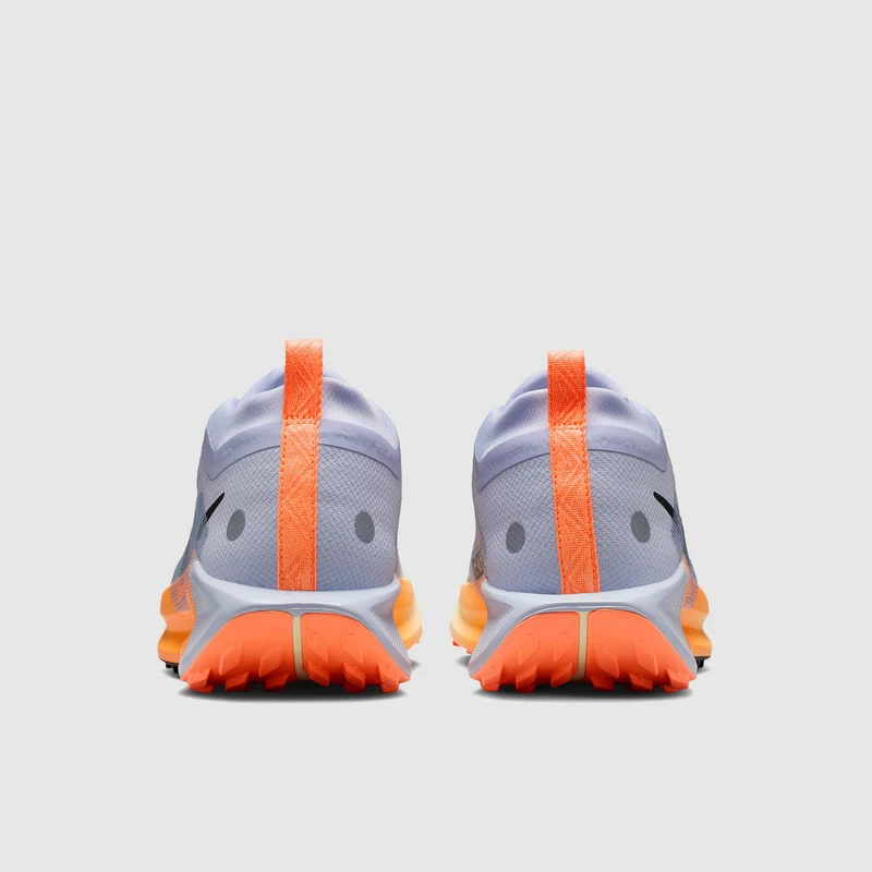 Nike Pegasus Trail 5 GORE-TEX Waterproof