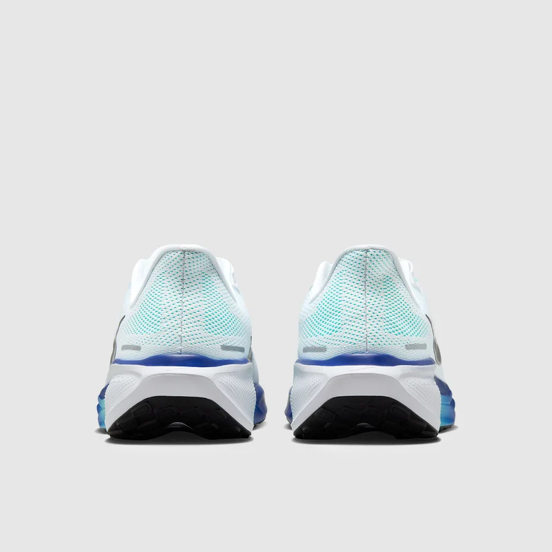 Nike Pegasus 41