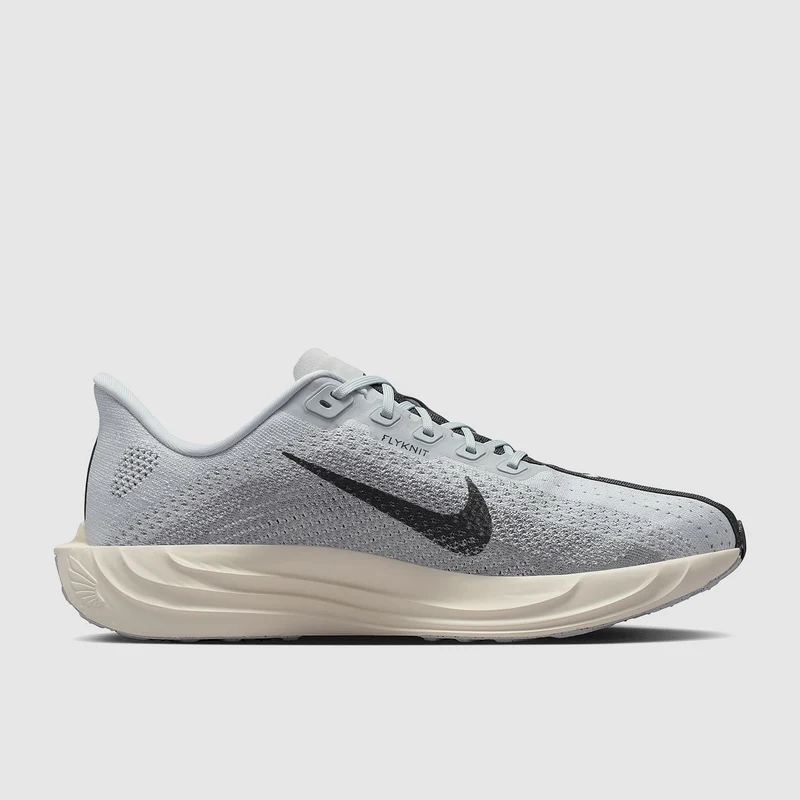 Nike Pegasus Plus