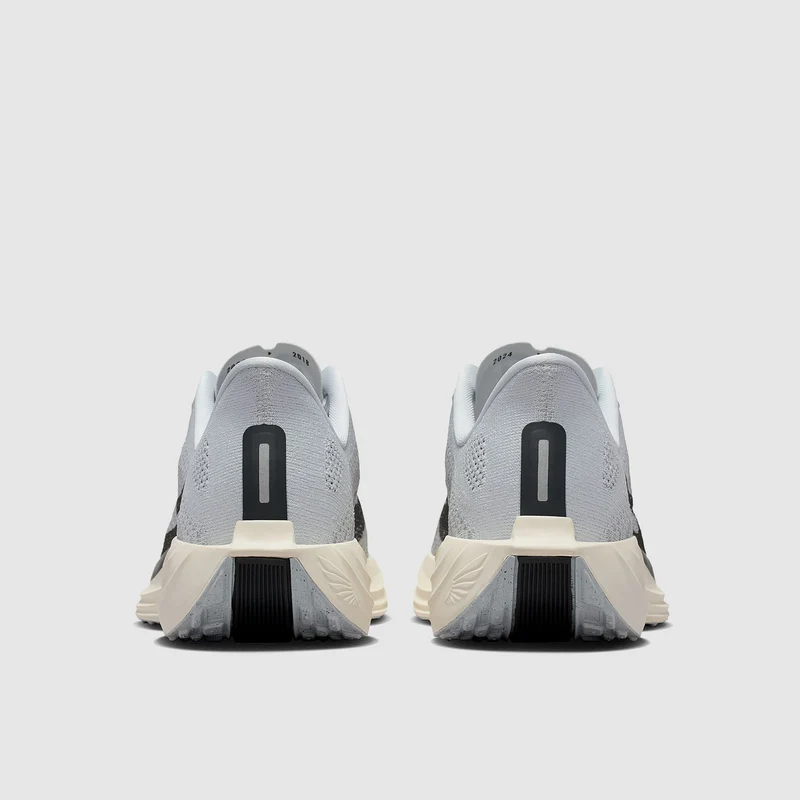 Nike Pegasus Plus