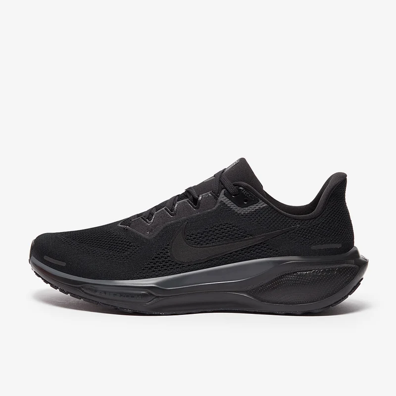 Nike Pegasus 41