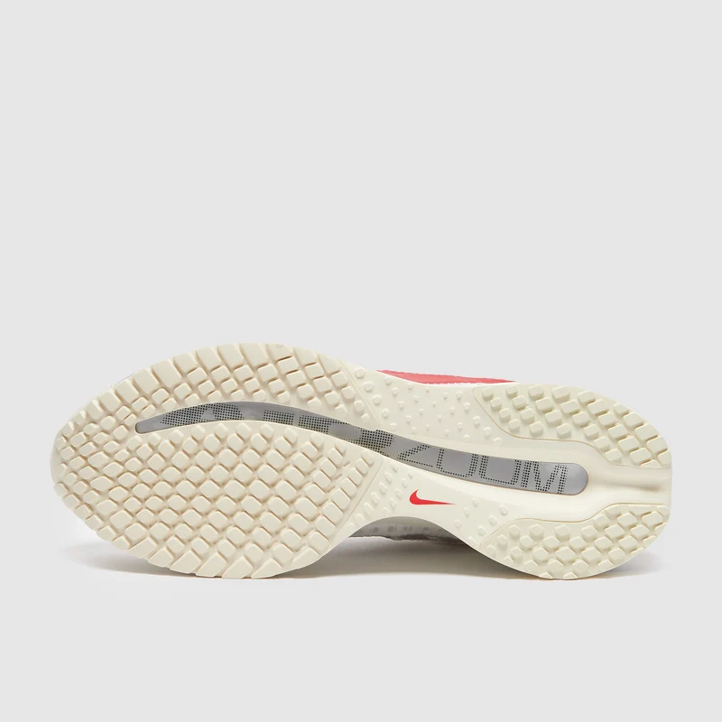 Nike Pegasus Premium pour Femme