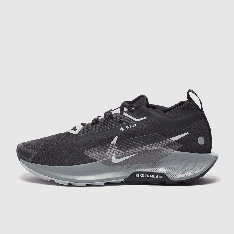 Nike Pegasus Trail 5 GORE-TEX