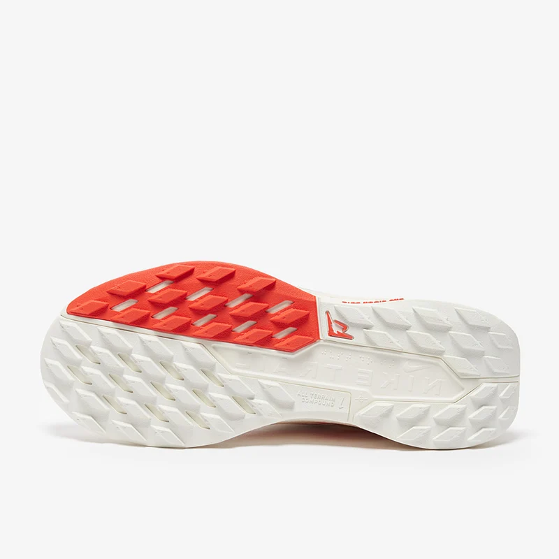 Nike Pegasus Trail 5 GORE-TEX pour Femme