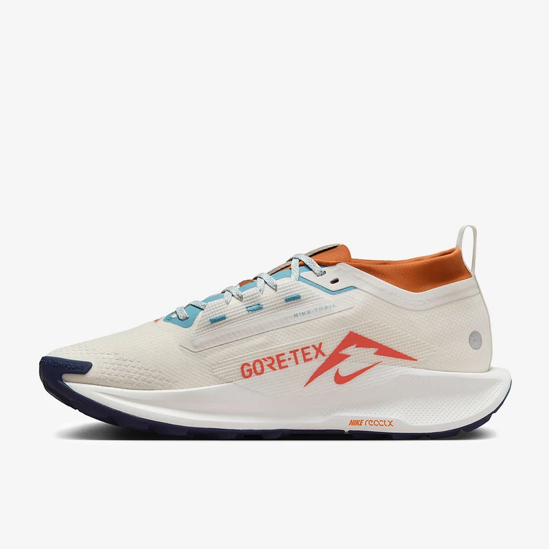 Nike Pegasus Trail 5 GORE-TEX