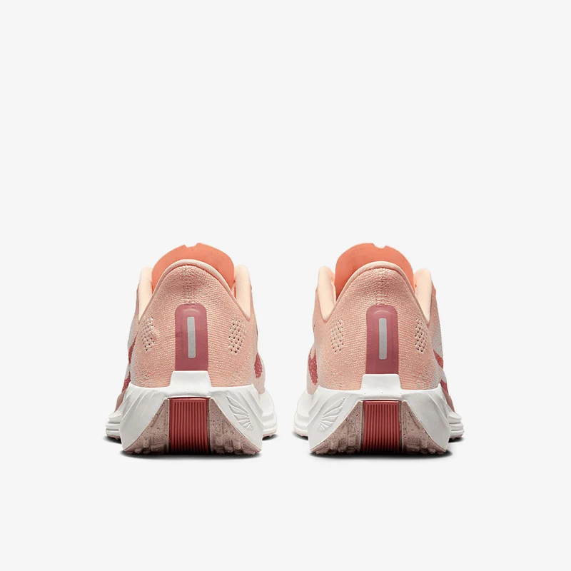 Nike ZoomX Pegasus Plus pour Femme