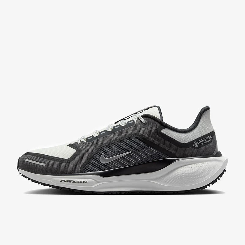 Nike Pegasus 41 GORE-TEX