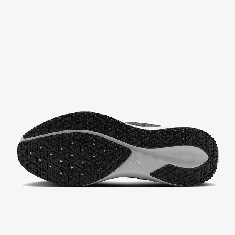 Nike Pegasus 41 GORE-TEX