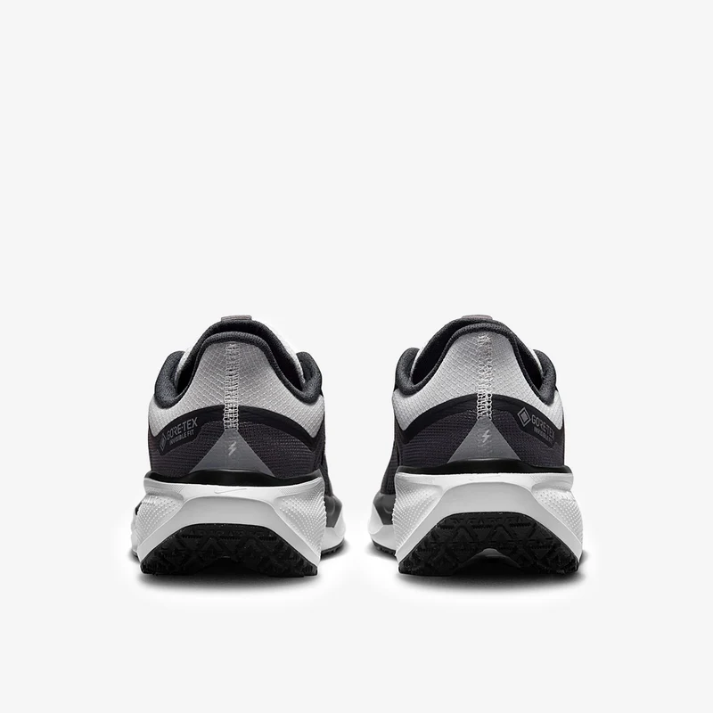 Nike Pegasus 41 GORE-TEX pour Femme