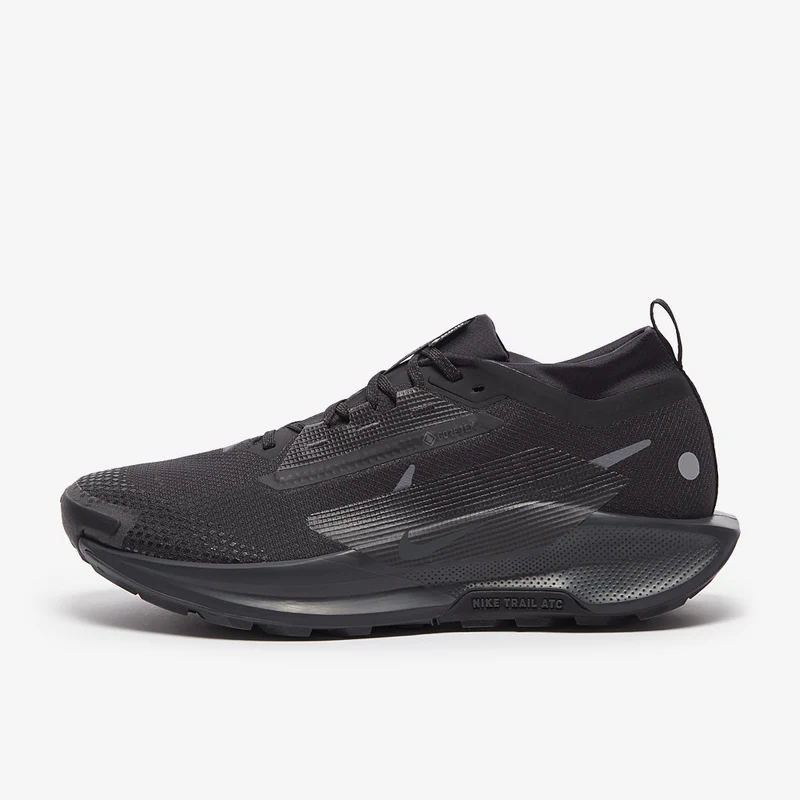 Nike Pegasus Trail 5 GORE-TEX