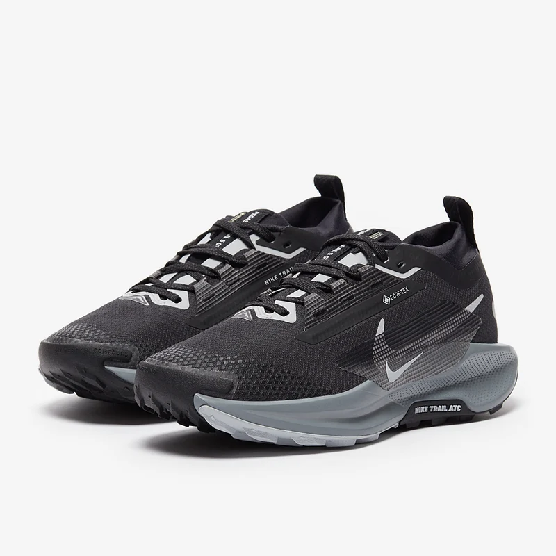 Nike Pegasus Trail 5 GORE-TEX pour Femme