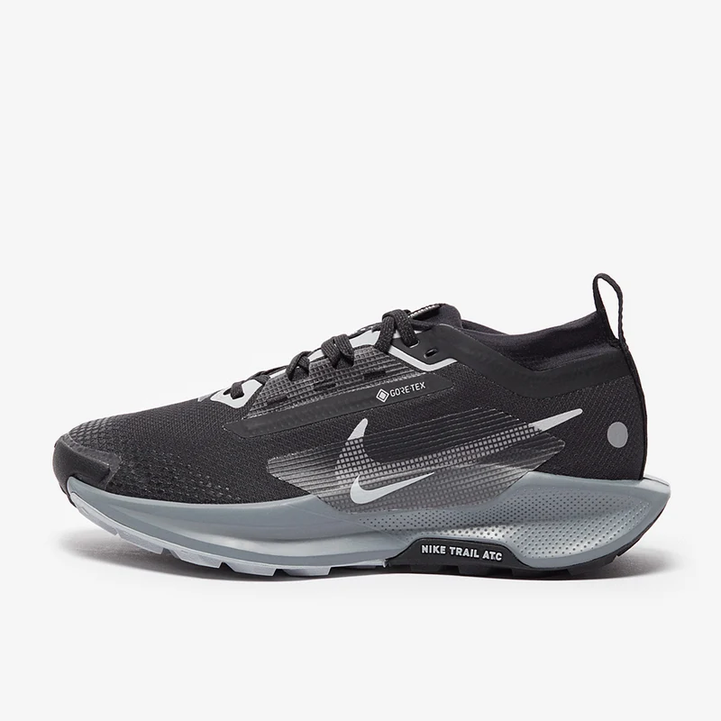 Nike Pegasus Trail 5 GORE-TEX pour Femme