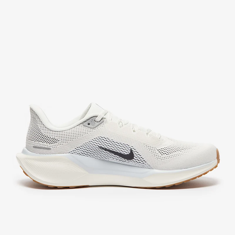 Nike Air Zoom Pegasus 41