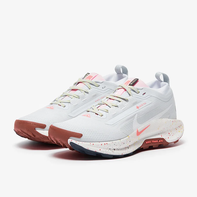 Nike Pegasus Trail 5 GORE-TEX pour Femme
