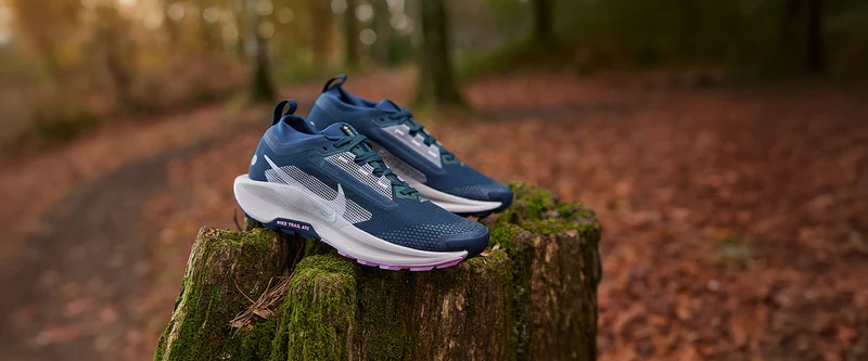 Nike Pegasus Trail 5 GORE-TEX pour Femme