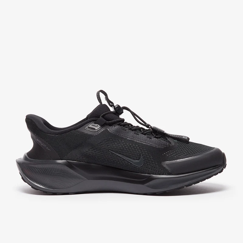 Nike Chaussure de running sur route pour homme Pegasus EasyO