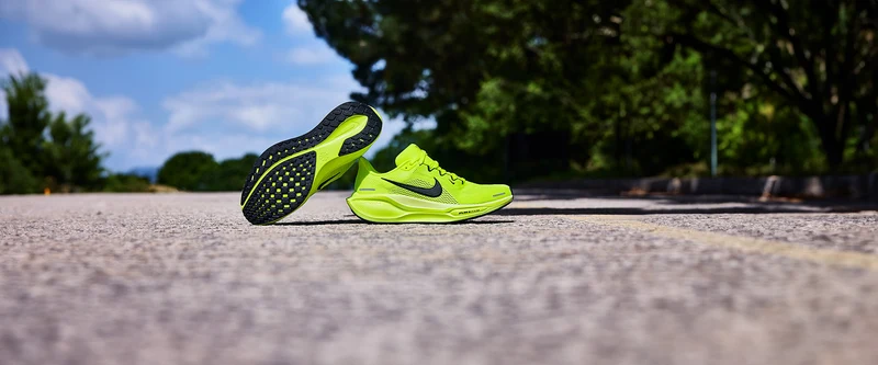 Nike Pegasus 41