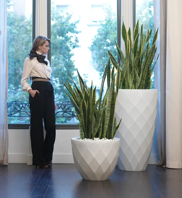Pot - Vases